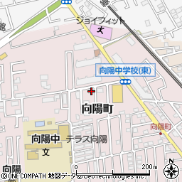 埼玉県所沢市向陽町2140周辺の地図