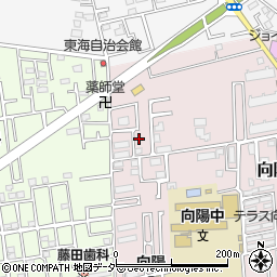 埼玉県所沢市向陽町2158周辺の地図