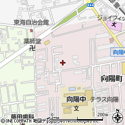 埼玉県所沢市向陽町2165-1周辺の地図