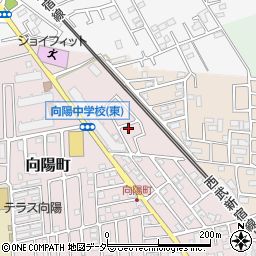 埼玉県所沢市向陽町2075-36周辺の地図