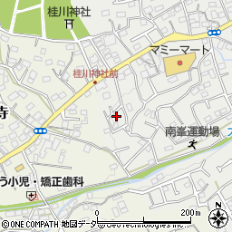 埼玉県入間市南峯251周辺の地図