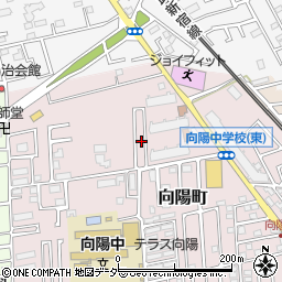 埼玉県所沢市向陽町2173-10周辺の地図