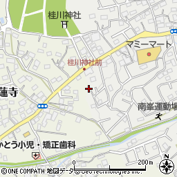 埼玉県入間市南峯246周辺の地図
