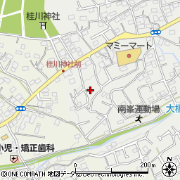 埼玉県入間市南峯255周辺の地図