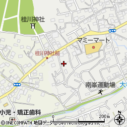 埼玉県入間市南峯256周辺の地図
