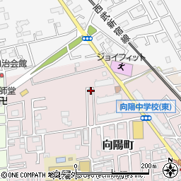 埼玉県所沢市向陽町2173-15周辺の地図