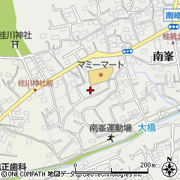 埼玉県入間市南峯270周辺の地図