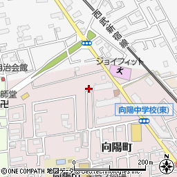 埼玉県所沢市向陽町2173-16周辺の地図