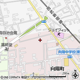 埼玉県所沢市向陽町2181周辺の地図