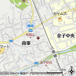 埼玉県入間市南峯128周辺の地図