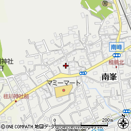 埼玉県入間市南峯22周辺の地図