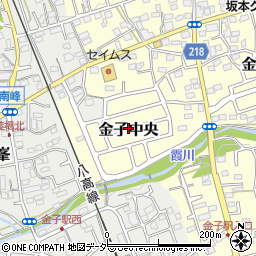 埼玉県入間市金子中央周辺の地図