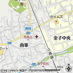 埼玉県入間市南峯133周辺の地図
