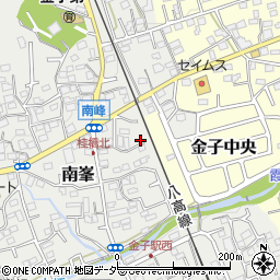 埼玉県入間市南峯132周辺の地図