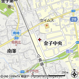埼玉県入間市南峯147周辺の地図