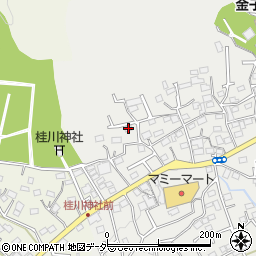 埼玉県入間市南峯39周辺の地図