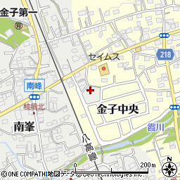 埼玉県入間市南峯146周辺の地図