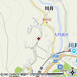 東京都奥多摩町（西多摩郡）川井周辺の地図