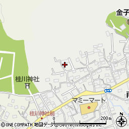 埼玉県入間市南峯41周辺の地図