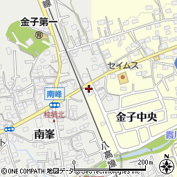 埼玉県入間市南峯106周辺の地図