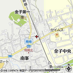 埼玉県入間市南峯112周辺の地図