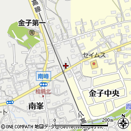埼玉県入間市南峯107周辺の地図