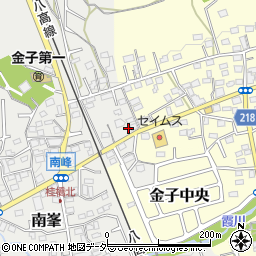 埼玉県入間市南峯104周辺の地図