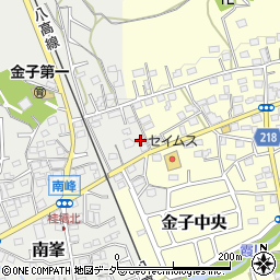 埼玉県入間市南峯102周辺の地図