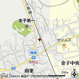 埼玉県入間市南峯69周辺の地図