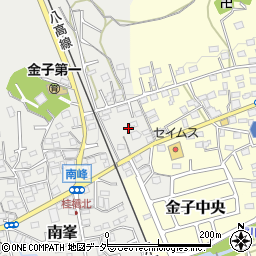 埼玉県入間市南峯103周辺の地図