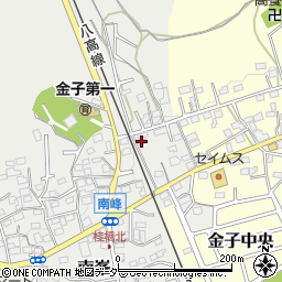 埼玉県入間市南峯109周辺の地図