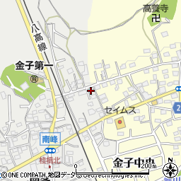 埼玉県入間市南峯99周辺の地図
