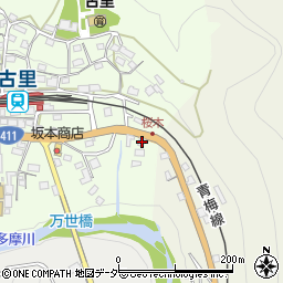 東京都西多摩郡奥多摩町小丹波8周辺の地図