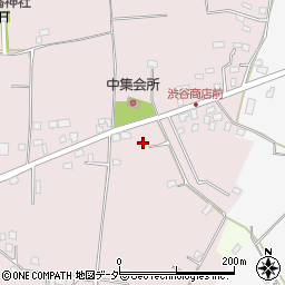千葉県白井市中285周辺の地図