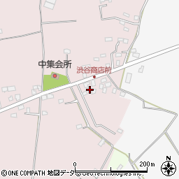 千葉県白井市中294周辺の地図