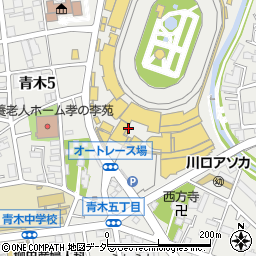埼玉県川口市青木5丁目21周辺の地図