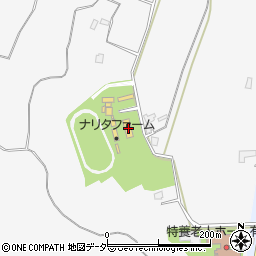 千葉県成田市横山204-122周辺の地図