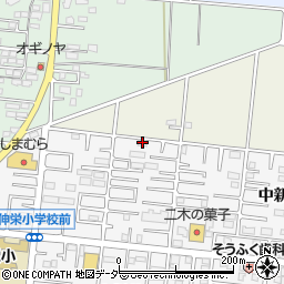 中新井グリーンコーポＣ周辺の地図