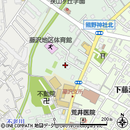 埼玉県入間市下藤沢991周辺の地図