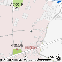 千葉県白井市中311周辺の地図