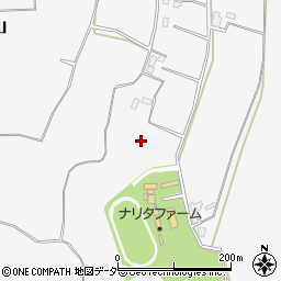 千葉県成田市横山204-175周辺の地図