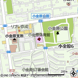 松戸市小金原体育館周辺の地図