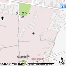 千葉県白井市中310周辺の地図