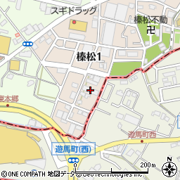 学研ココファン川口榛松HC周辺の地図
