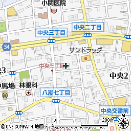鈴新八潮倉庫周辺の地図