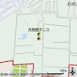 埼玉県狭山市南入曽1095周辺の地図