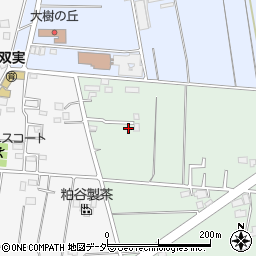埼玉県所沢市所沢新町504-45周辺の地図