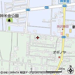 埼玉県所沢市所沢新町2522-29周辺の地図