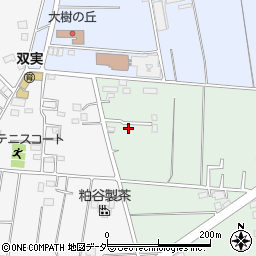埼玉県所沢市所沢新町504-3周辺の地図