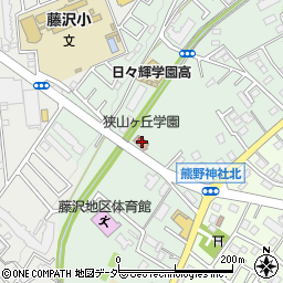 埼玉県入間市下藤沢1011周辺の地図